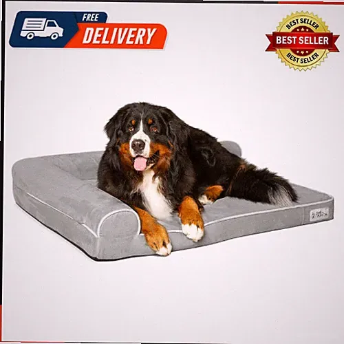 Betterlounge Orthopedic Dog Bed | Solid Certipur-Us Memory Foam Waterproof Liner