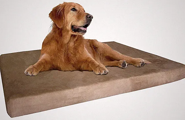 Extra Large True Orthopedic Gel Memory Foam Dog Bed, Waterproof Liner and Dur...