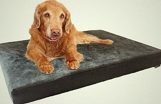 Orthopedic Memory Foam Dog Bed, Waterproof, Washable, 41x27 Inch, Gray