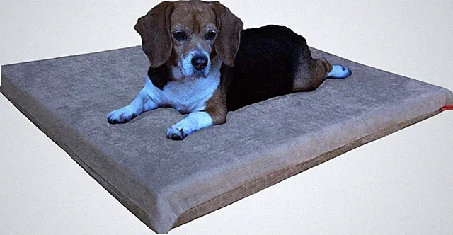 Orthopedic Memory Foam Dog Bed with Waterproof Liner & Antislip Cover, Gray