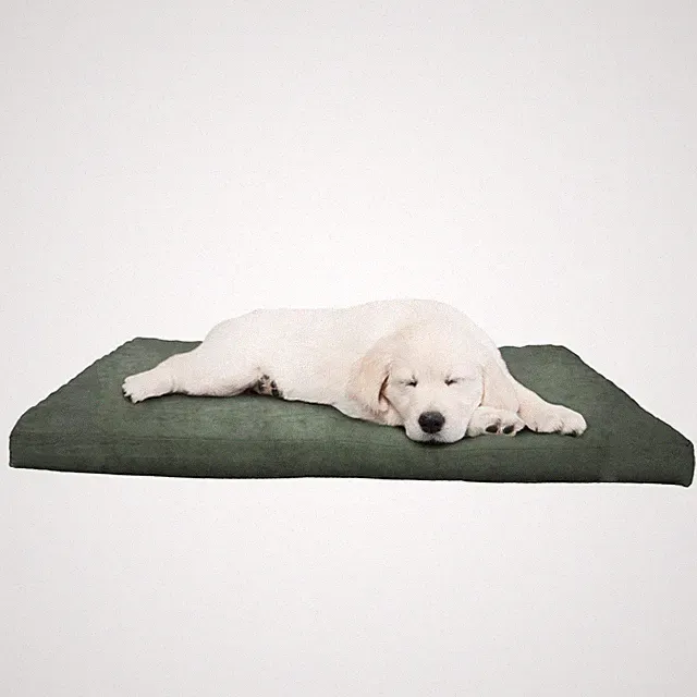 Water-Resistant Dog Bed - Orthopedic Dog Bed with Removable Washable Cover, N...