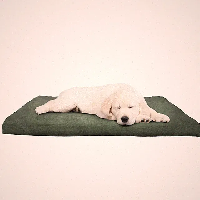 Water-Resistant Dog Bed - Orthopedic with Removable Small, Forest