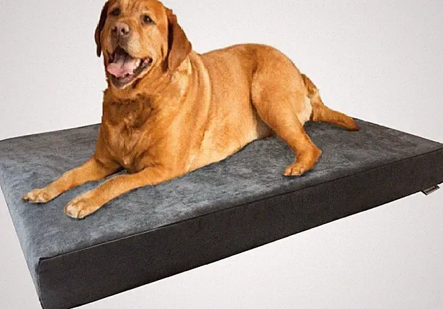 XL Orthopedic Memory Foam Dog Bed, Waterproof, Machine Washable, 47x29x4